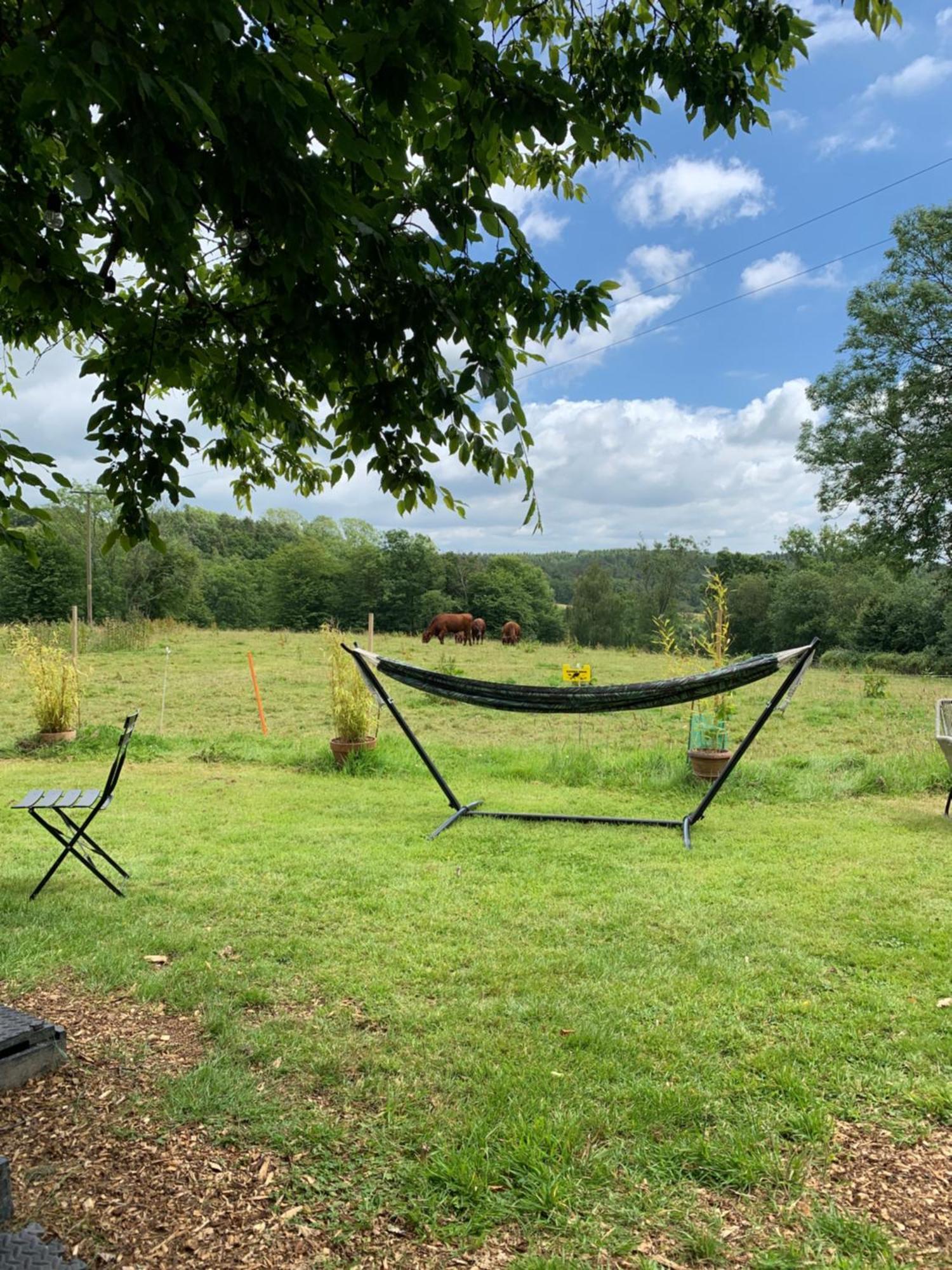 American School Bus Retreat With Hot Tub In Sussex Meadow 阿克菲尔德 外观 照片